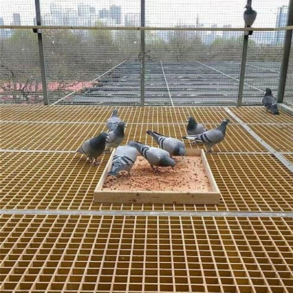 鴿舍