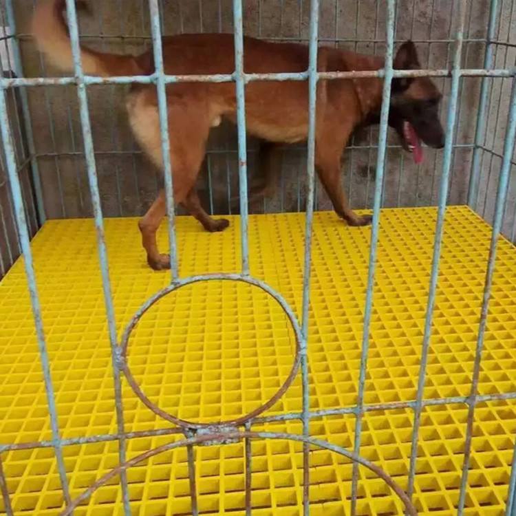 養狗犬舍玻璃鋼格柵